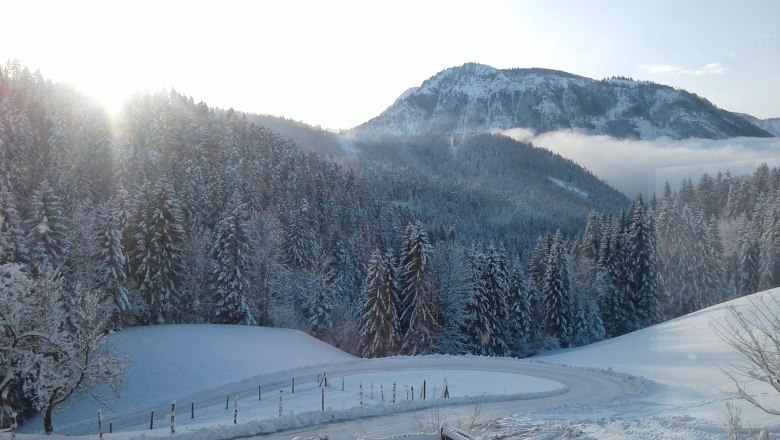 Wunderschöne Aussicht am Hetzkogl, © Grasberger