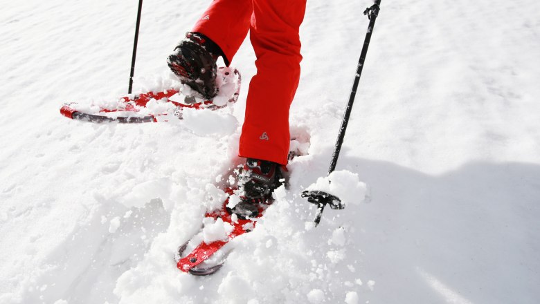 Mit Schneeschuhen durch die Winterlandschaft stapfen, © weinfranz.at