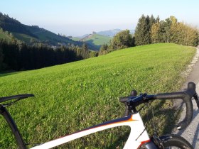 Kurz vor Konradsheim, Blick Richtung Sonntagberg, © W. Dürauer