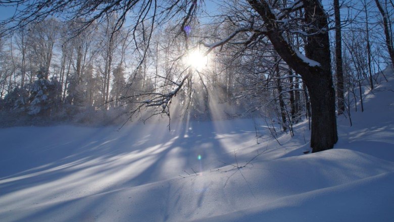 Winterwunderland Zwickelreith, © Familie Roseneder