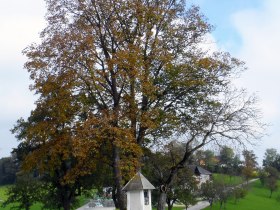 Kapelle, © Mostviertel - OÖ Mariazellerweg