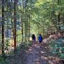 Waldbaden, © Karin Redlsteiner