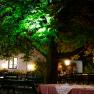 Cosy guest garden, © Lundvall Photography