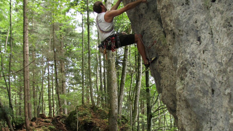 Natur pur im Schluchtenweg, © Ybbstal Climbing