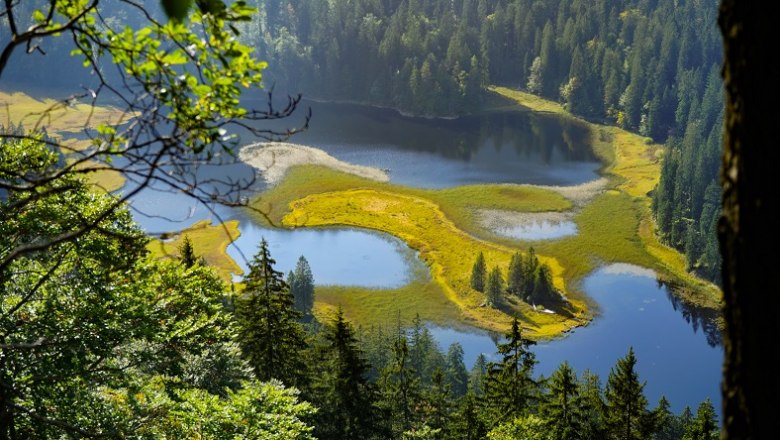 Blick zum Obersee, © Felix Helmel