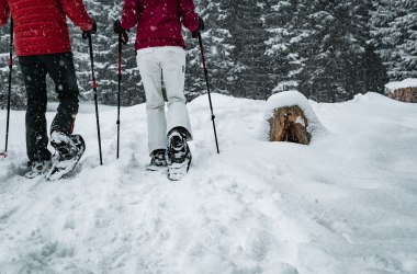 Schneeschuhwandern, © Gerald Demolsky