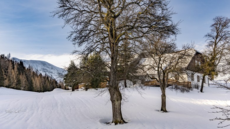 Winter im Obstgarten, © Theo Kust